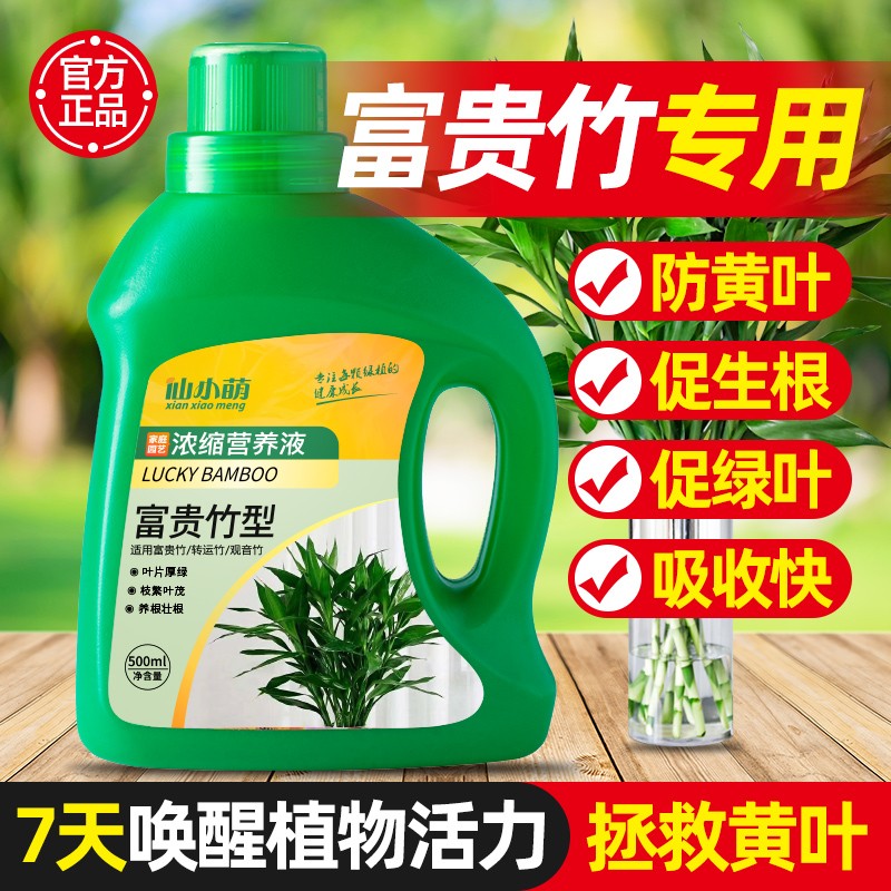 富贵竹专用营养液肥料专用肥水培植物通用文竹转运竹专治黄叶生根