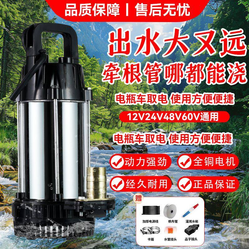 直流无刷潜水泵电瓶车抽水泵家用农用灌溉浇菜48V60V电动车抽水机