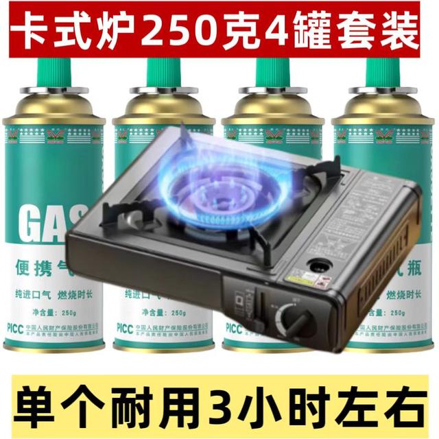 卡式炉+4罐便携气户外野炊露营卡磁炉喷枪烧烤肉暖冬围炉气瓶通用