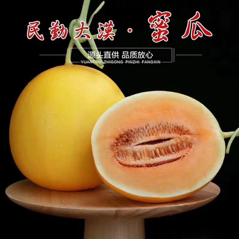 甘肃民勤直发甘肃民勤沙漠头茬蜜瓜金红宝蜜瓜6-9斤坏果包赔老挝M