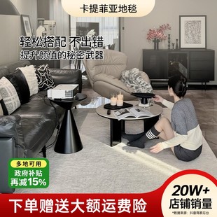 卡提菲亚丹麦雪境卧室客厅地毯免洗可擦无胶防水抗污免打理大面积