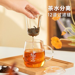 家用茶水分离杯喝水杯 物生物 玻璃杯过滤蘑菇泡茶杯办公夏季