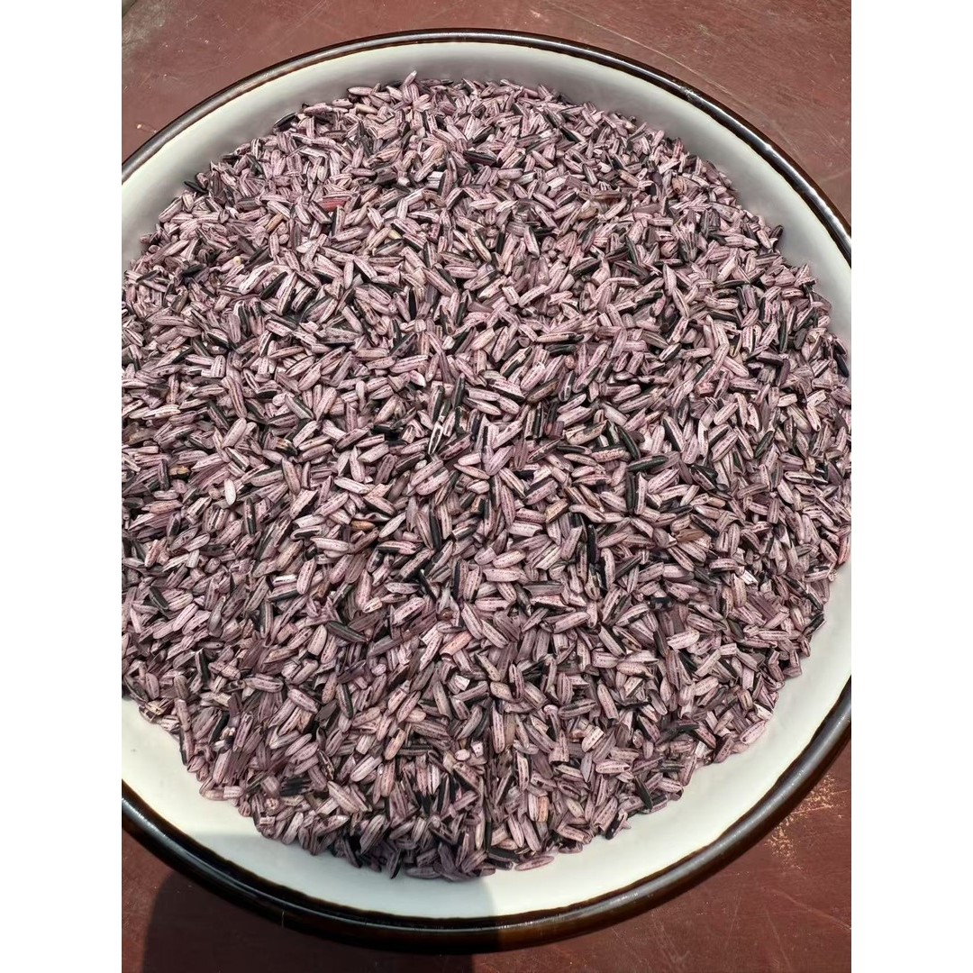 小石榴云南农家墨江老品种紫糯米（2025年新米）