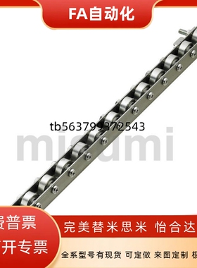 辊式搬运装置2509流利条滚轮条CRONF/CRONFB/CORO/CRON/CROP/CROS