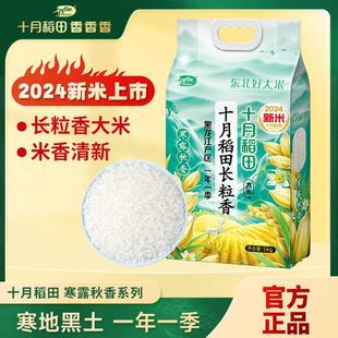 十月稻田2025新米上市寒露秋香长粒香5kg东北大米蒸饭煮真空包装