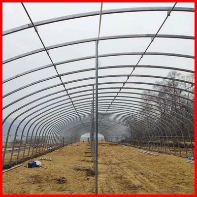 大棚骨架钢管养殖大棚椭圆蔬菜大棚牛棚羊圈猪舍连栋棚种植棚全套