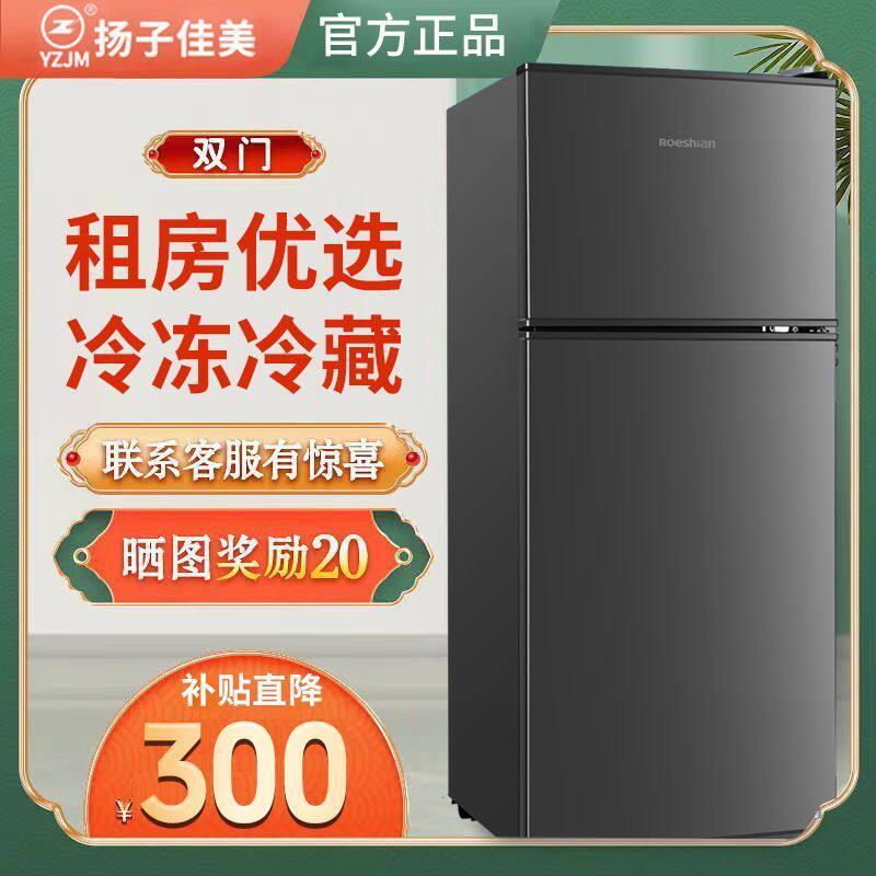 扬子佳美电冰箱大容量双门节能冷藏冻一级能效小型静音租房宿舍