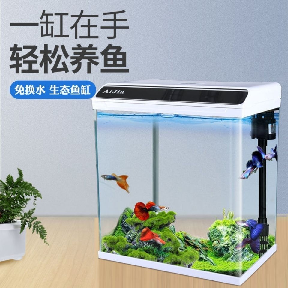 免换水懒人桌面鱼缸特色生态鱼缸水草缸水族箱居家办公风景玻璃缸