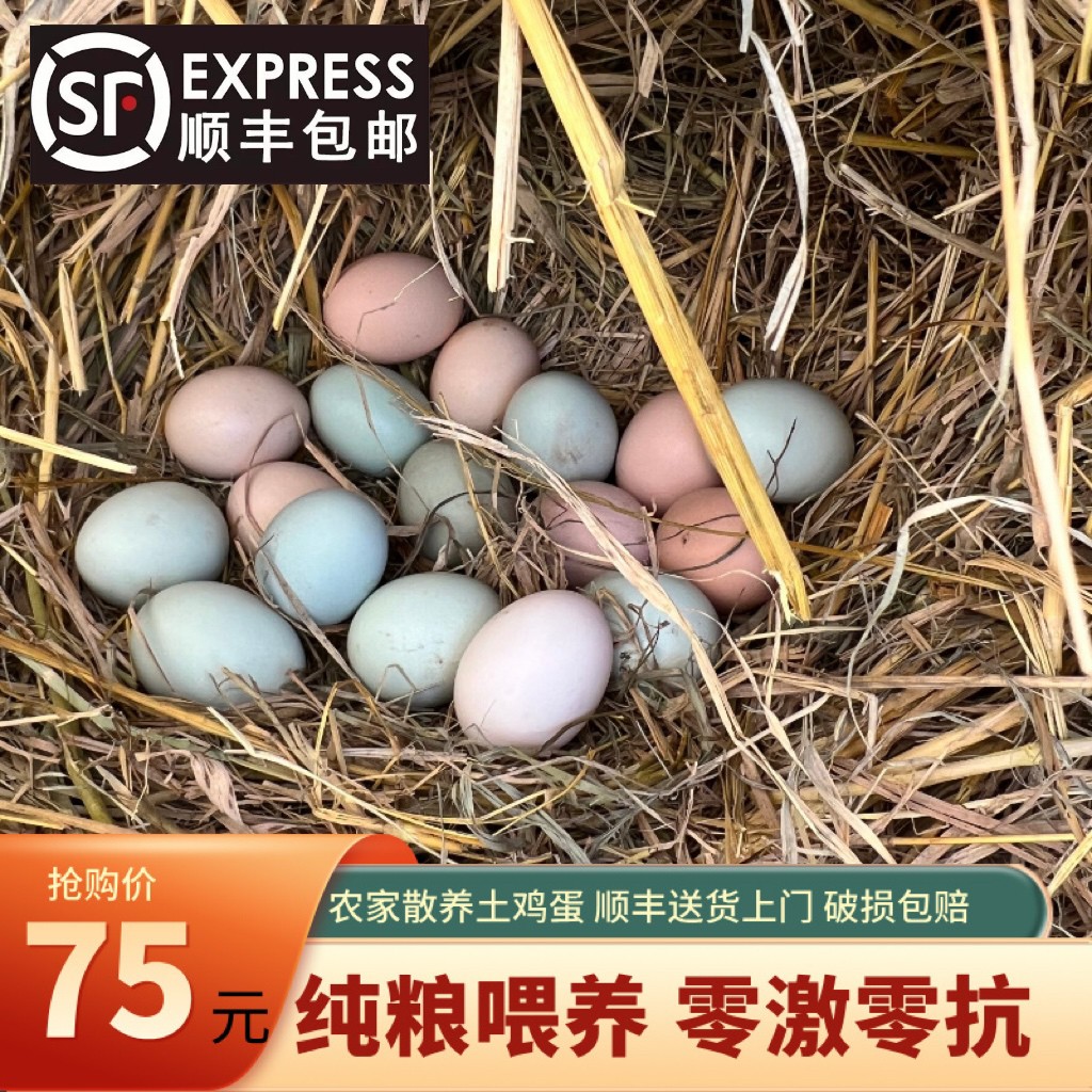 正宗土鸡蛋 农家纯粮散养土鸡蛋 鲜鸡蛋50枚装 单个40-50克