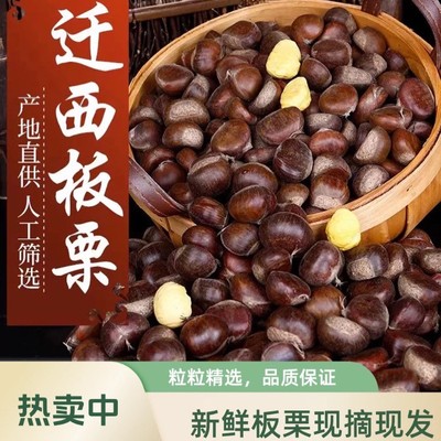 【精品3113】迁西板栗 油栗燕山板栗京东栗3斤/5斤/10斤 送开口器