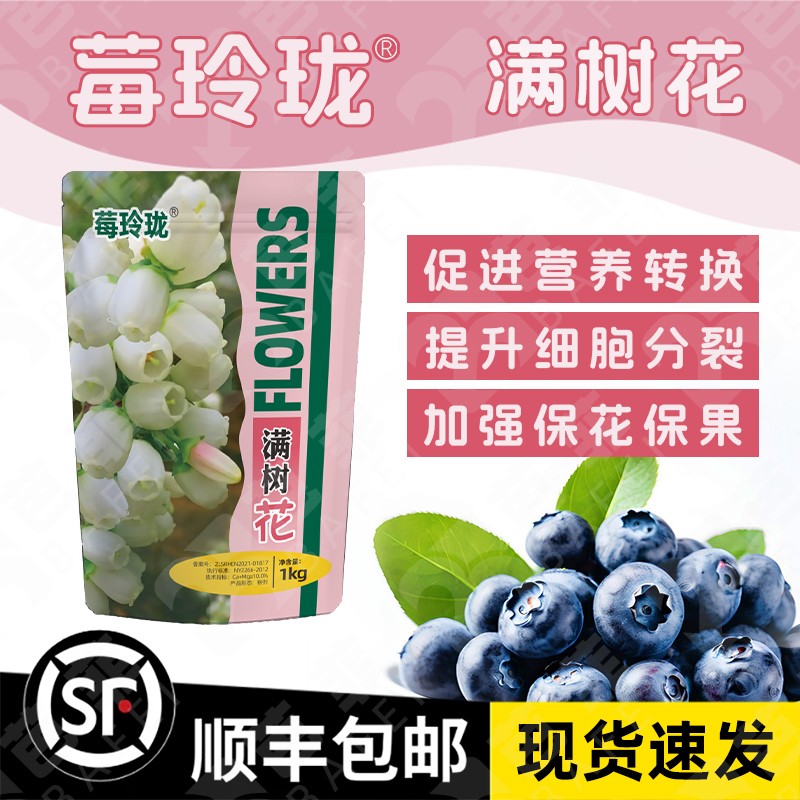 蓝小丫促进蓝莓早开花花大花饱满促花稳果让小花花均衡绽放