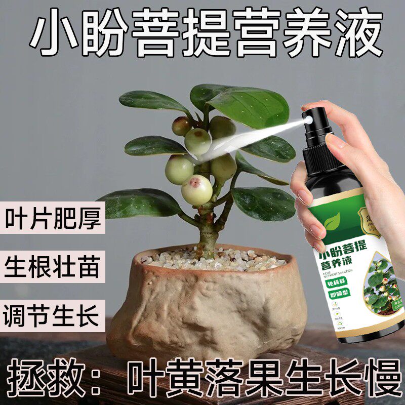 小盼菩提专用肥营养液防黄叶落果枯萎促生长催开花结果促绿营养液
