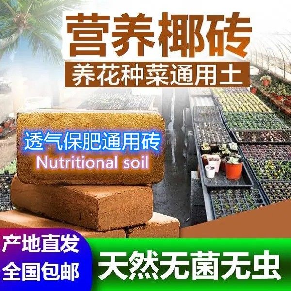 【养花种菜】进口椰砖营养土椰糠多肉种花绿植专用土壤种植通用,鲜花速递/花卉仿真/绿植园艺,介质/营养土,淘宝优惠券,粉丝福利购,淘宝优惠卷