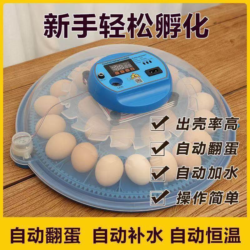 孵蛋器小型家用全自动智能芦丁鸡鸭孵化器威振小飞碟孵化箱孵化机,五金/工具,电热工具,淘宝优惠券,粉丝福利购,淘宝优惠卷