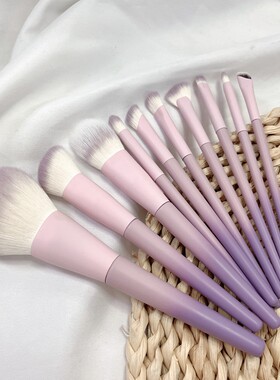 10支/沧州紫色化妆刷套装收纳包新手全套便携化妆师专用超柔软