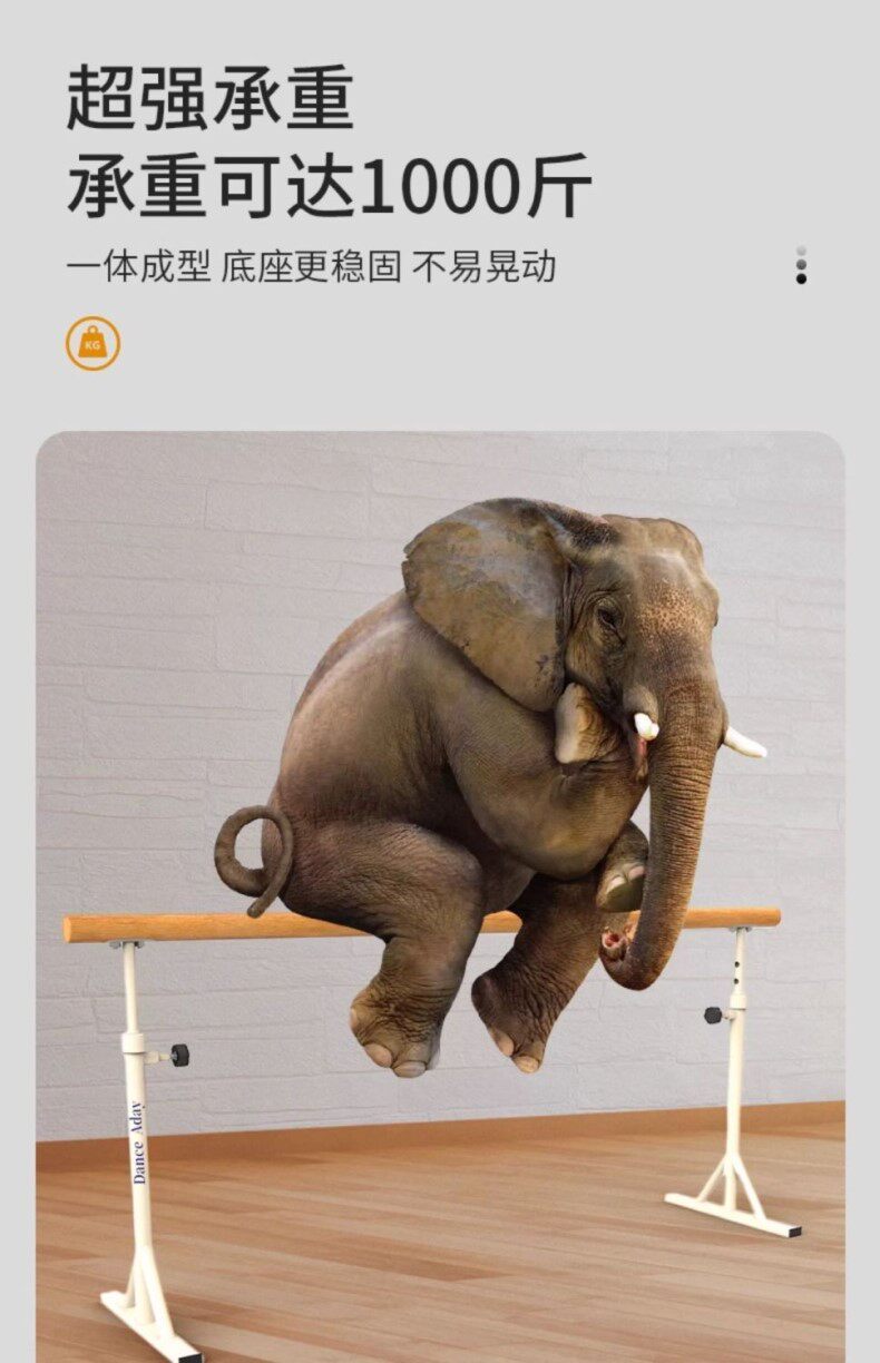 балетные аксессуары 家用可移动舞蹈把杆舞蹈房压腿杆家双层专业教室把杆芭蕾舞蹈杆
