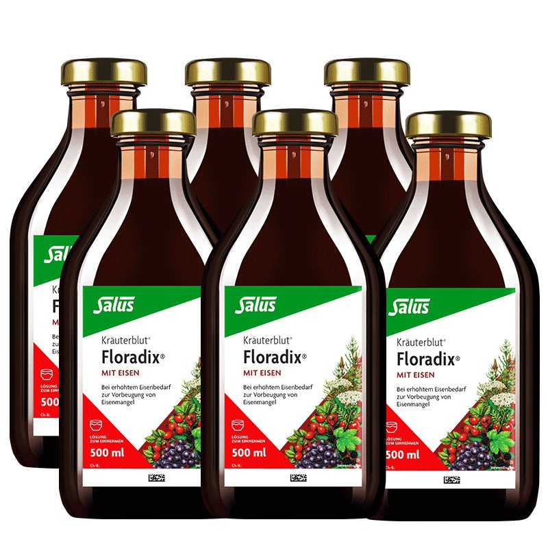 SALUS莎露斯 德国铁元女士补铁铁元素孕妇孕期补铁液500ml*6