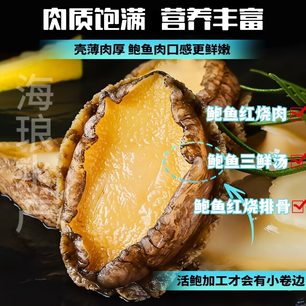 顺丰冷链 大号鲍鱼肉5-6厘米 纯肉速冻 红烧炖肉 生鲜 海鲜水产