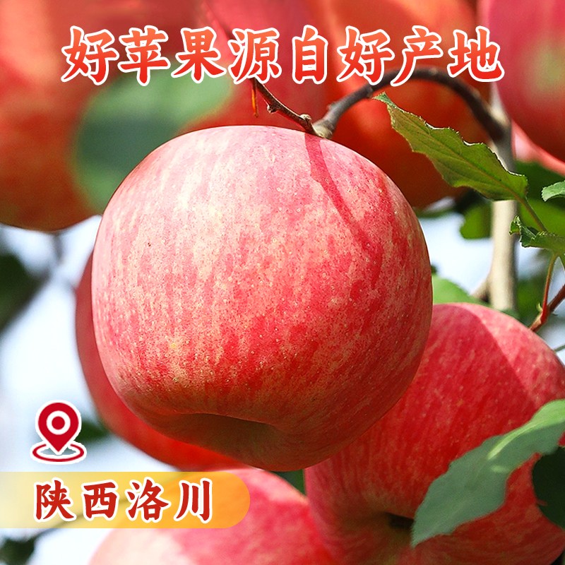 良周迹忆陕西延安洛川红富士苹果5斤装 单果170g+