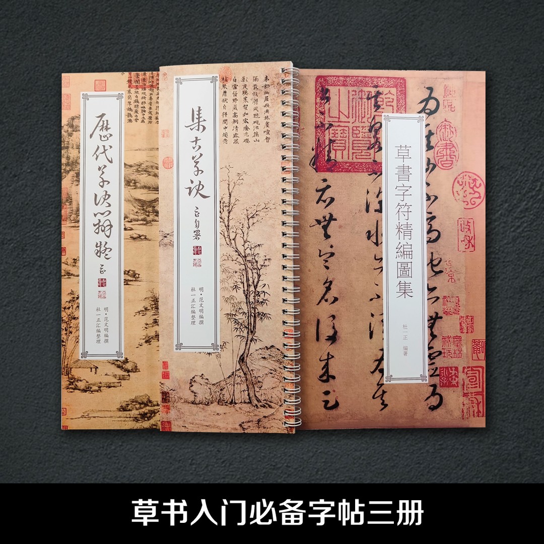 草书从入门到精通字帖三册