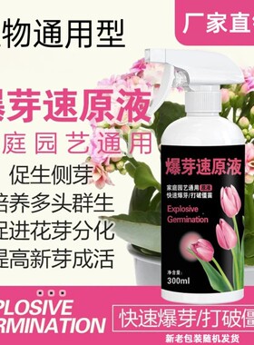 爆芽速原液植物多芽促芽催芽分化叶插花植物多肉绿植通用型液体肥