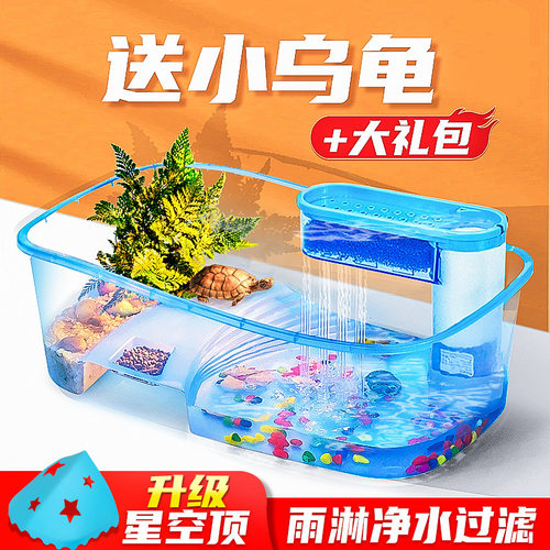 龟缸造景生态全套专用玻璃水陆乌龟缸饲养盒子宠物客厅寄居蟹容器