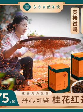 桂花红茶丹心可鉴乡愁沈丹高山小种级甘醇香耐泡茶叶60g*2盒