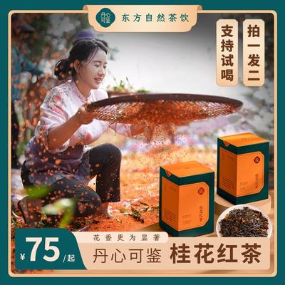 桂花红茶乡愁沈丹心可鉴高山小种级福建正宗茶叶花茶好礼60g*2盒