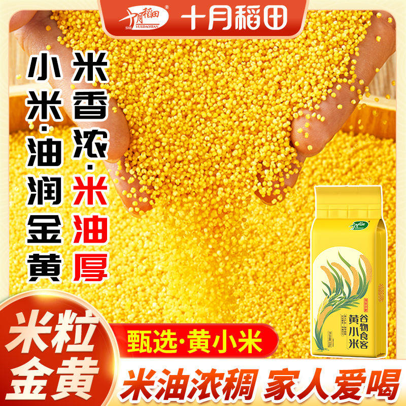十月稻田黄小米5斤小米煮粥小黄米10斤小米米油多粥米杂粮米小米