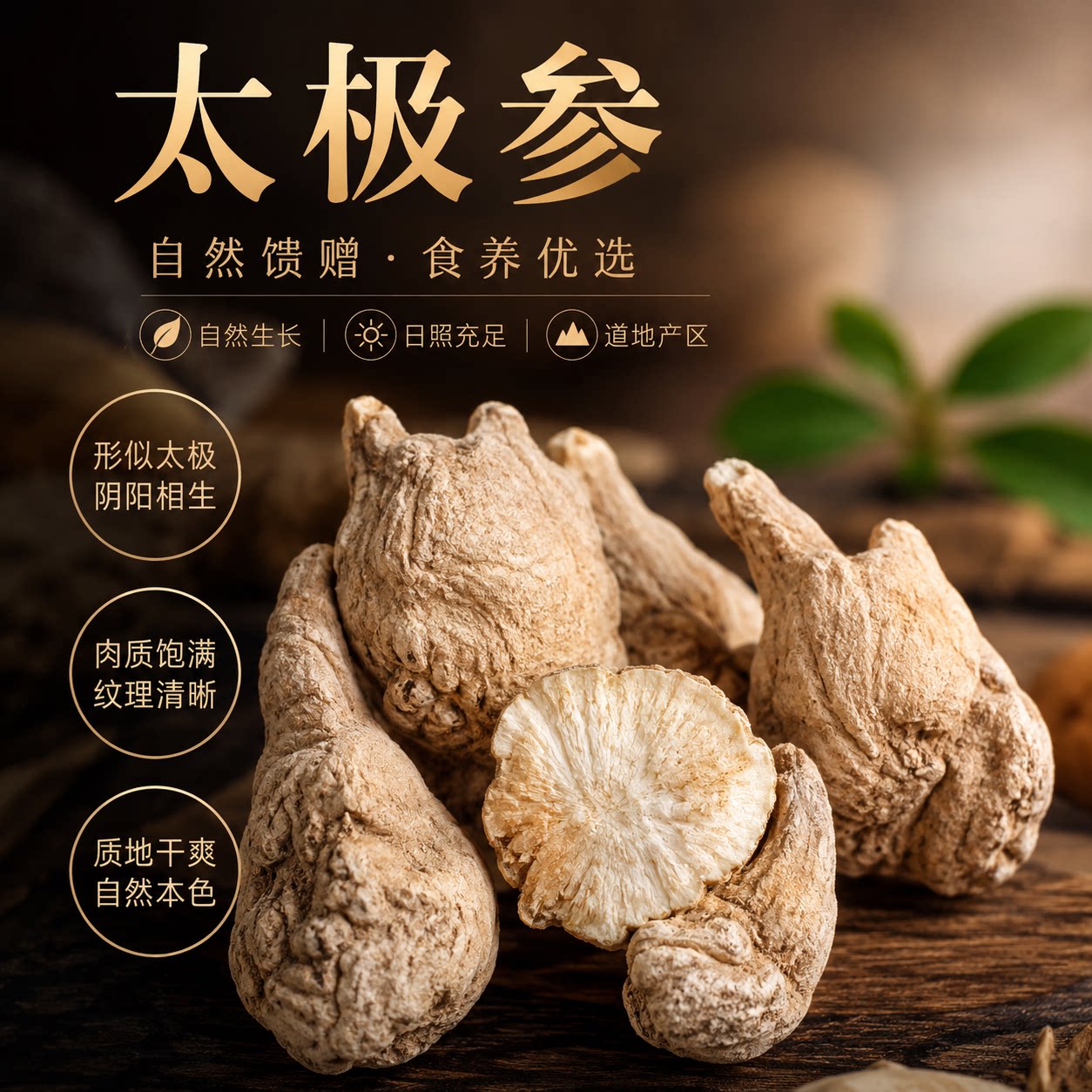 云南丽江自然晒干无硫熏太极参