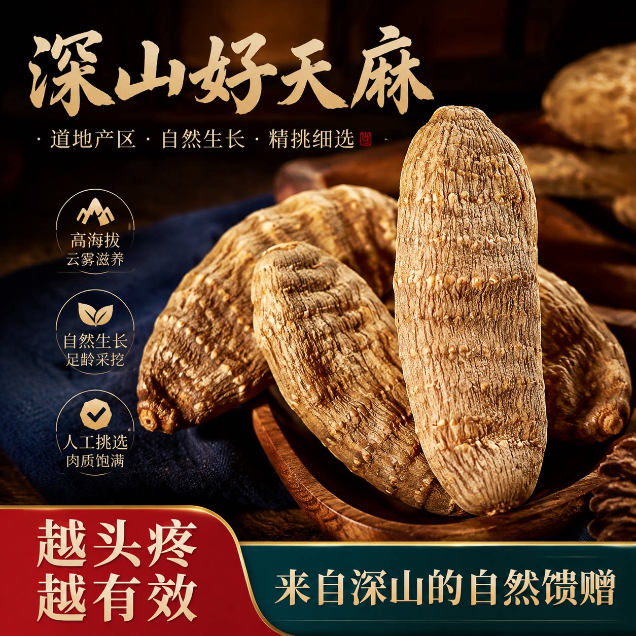 正宗昭通小草坝特级天麻干货