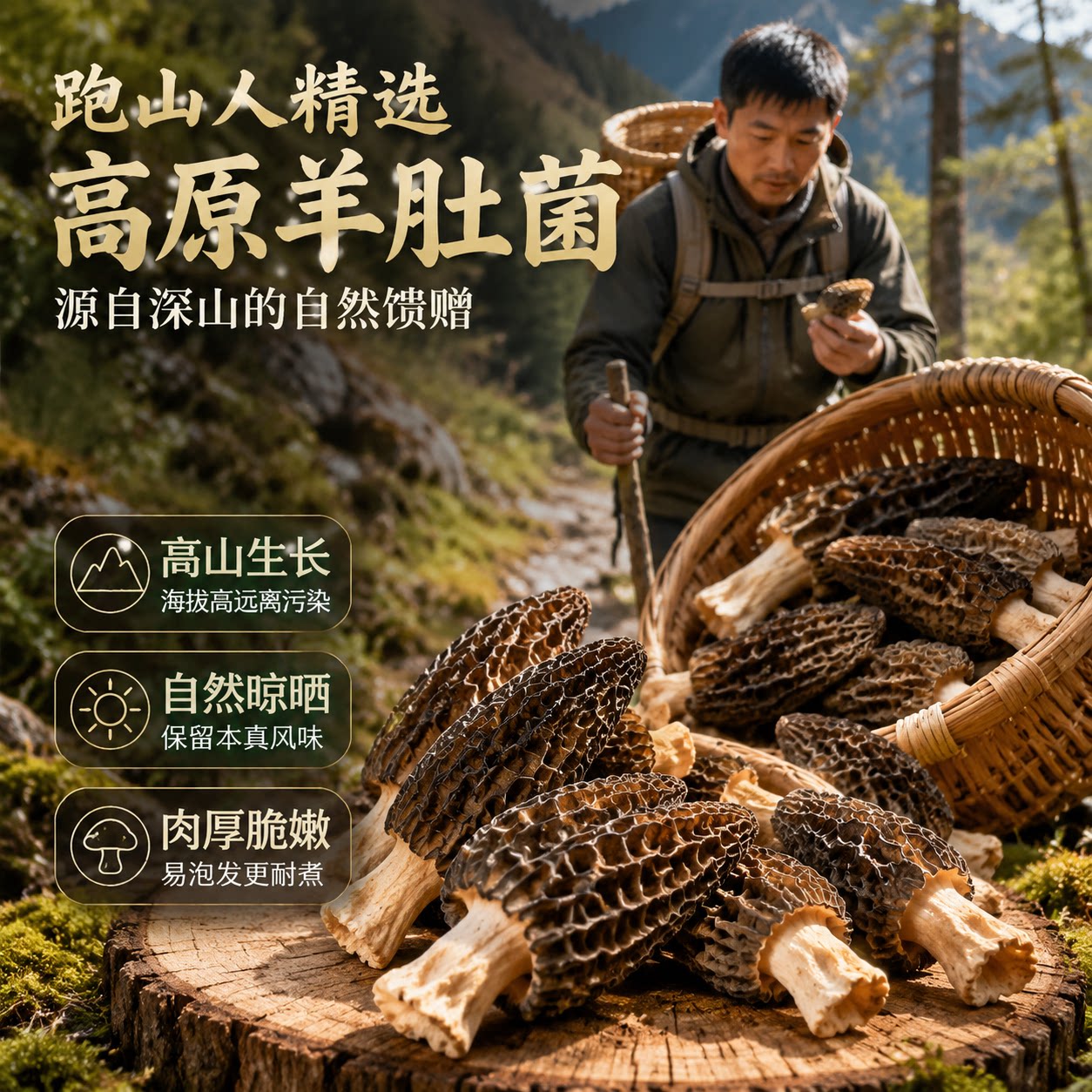 云南头茬无硫羊肚菌干货煲汤500g