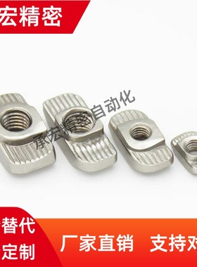 LNTN6/8/10-20/30/40/45-3/4/5/6/8-100P/T型螺母 欧标铝型材专用