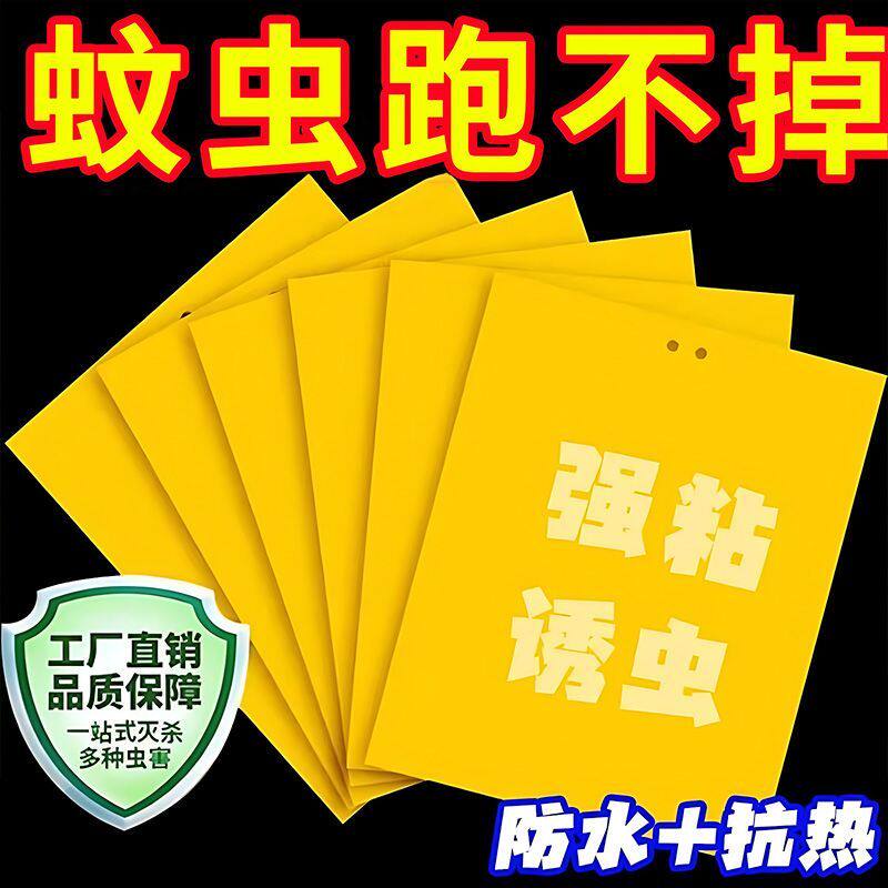 双面黄板粘虫板诱果蝇防虫贴
