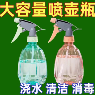 细雾浇花洒小喷水壶喷瓶 家用酒精喷壶消毒水清洁专用喷雾瓶气压式