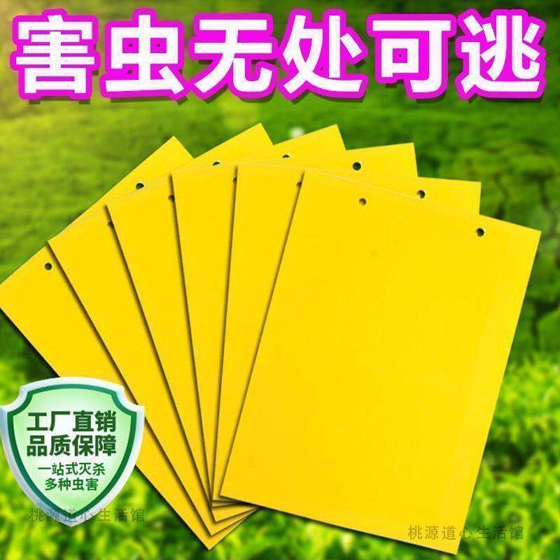 双面粘虫黄板飞虫诱虫板柑橘蓝板瓜果实蝇果园针蜂大棚蓟马篮板针