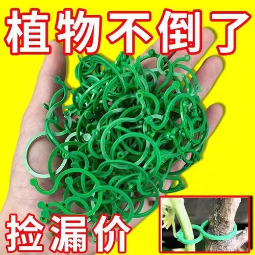 园林园艺八字扣黄瓜西红柿豆角爬藤绑枝固定夹绿植蔬菜捆绑扎带器