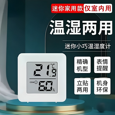 RGGY迷你壁挂数显温湿度计高精度