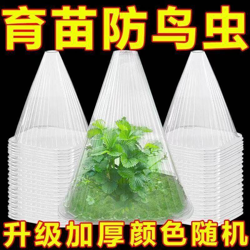 育苗保护透明钟罩重复使用方形温室植物大棚免受鸟类霜冻伤害加厚