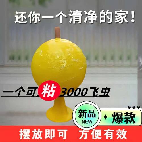 室内长效果小飞虫蝇粘蝇纸