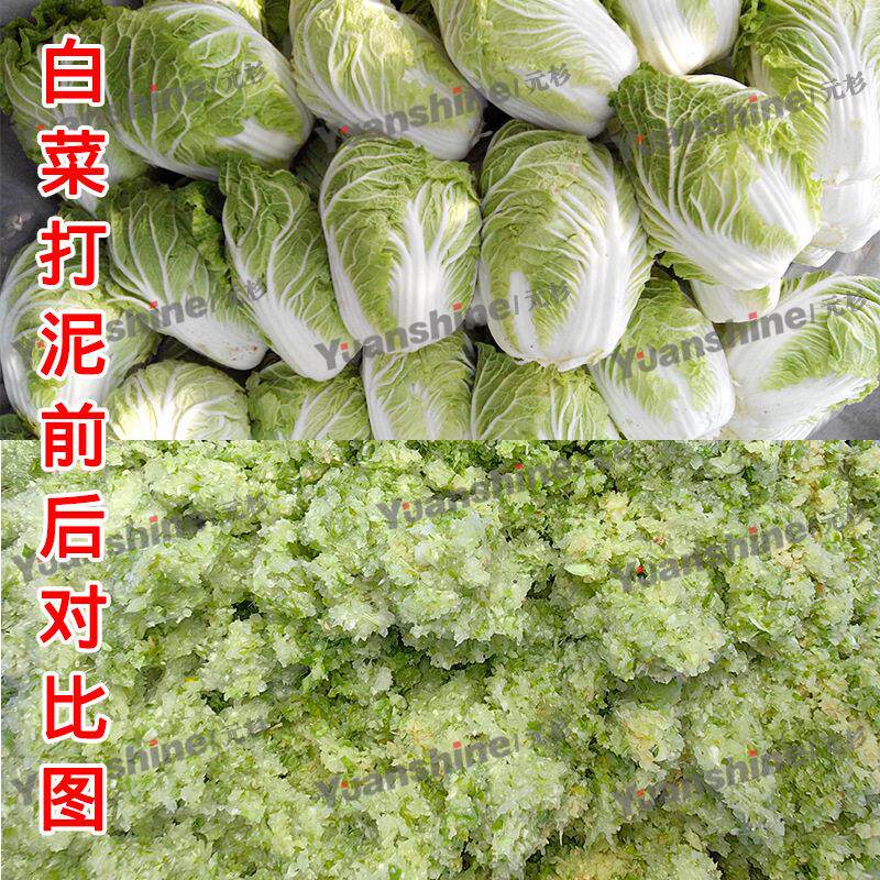 厂家现货台湾果蔬打碎机芒果枣泥打泥机鸭蛋黄打碎机