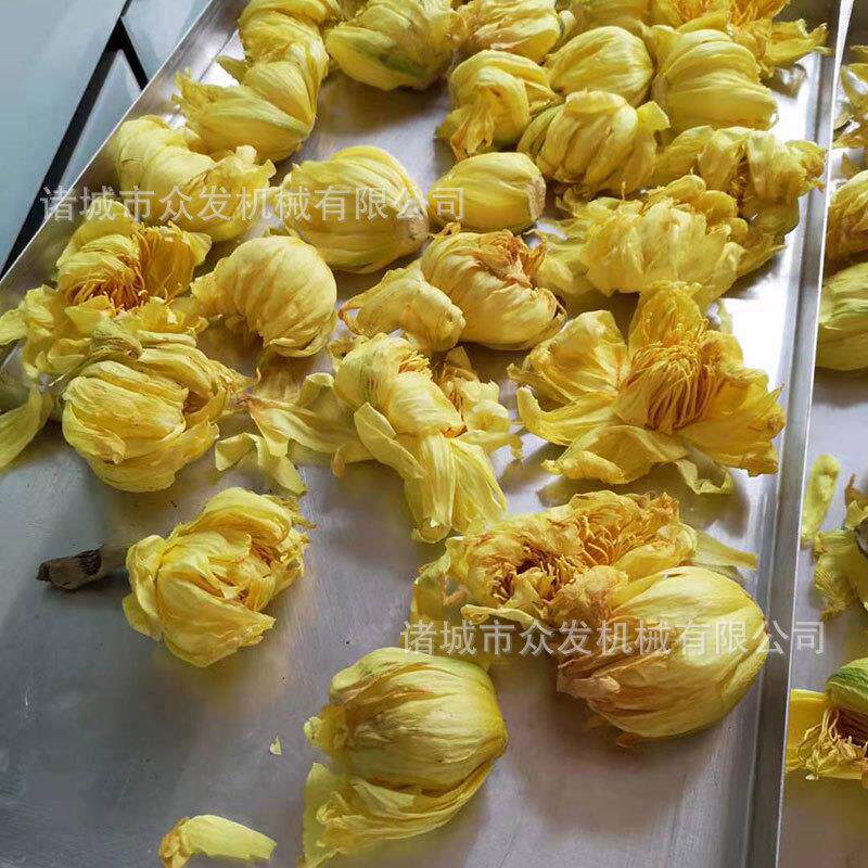 供应雪莲花低温干燥机FD梨花真空冻干机玫瑰花冷冻冻干设备