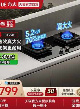 方太TF29B/02-TH29B燃气灶煤气双灶台嵌入家用天然气官方旗舰01