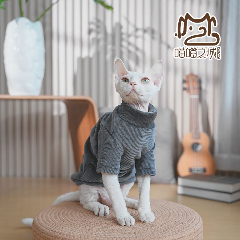 2024年无毛猫斯芬克斯德文猫加绒加厚衣服柔软耐账打底衫