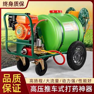 厂家新款 农用果园高压打药机 汽油手推高压喷雾器 猪场防疫消毒机