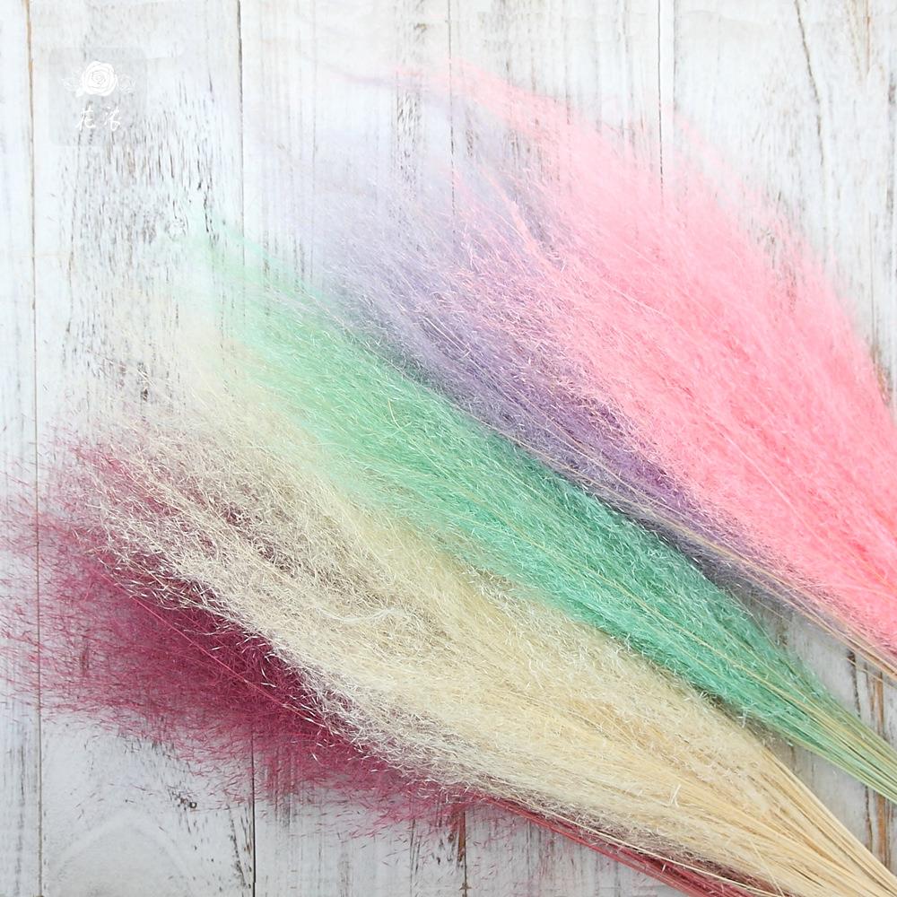 优质干花粉黛永生花礼盒玻璃罩配花花材干花家居插花拍照道具