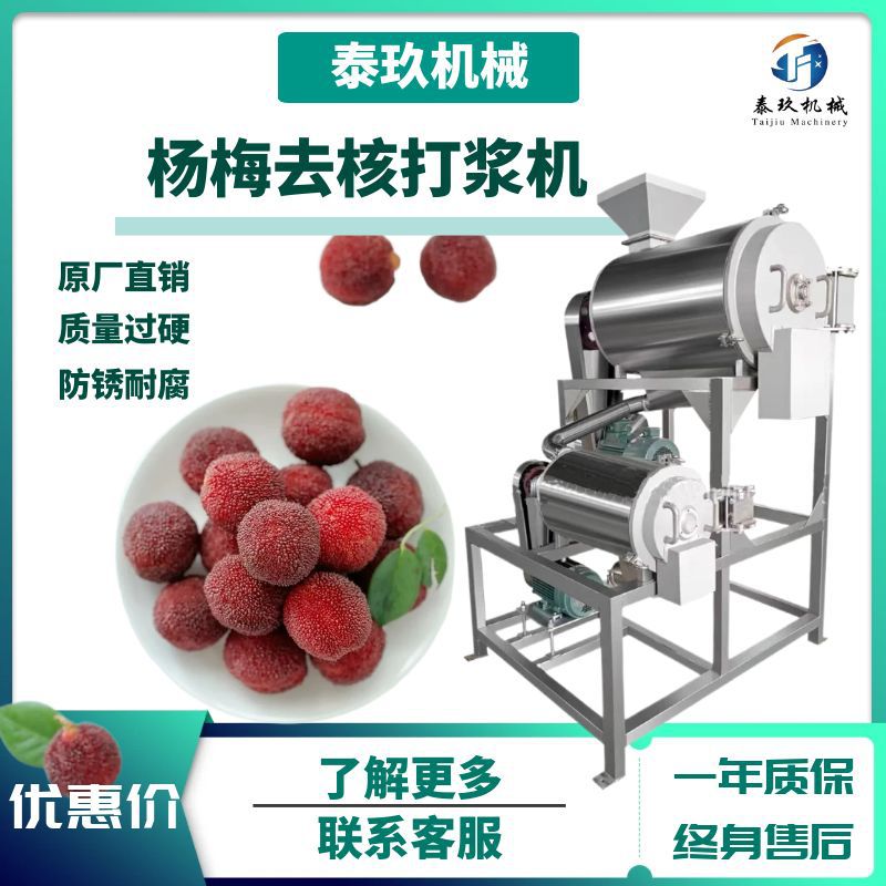 商用杨莓单道打浆机杨莓酱加工设备果蔬加工