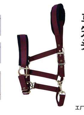 加厚双层织带马笼头耐磨耐用保护马头结实蓝色牵马马具骑马装备