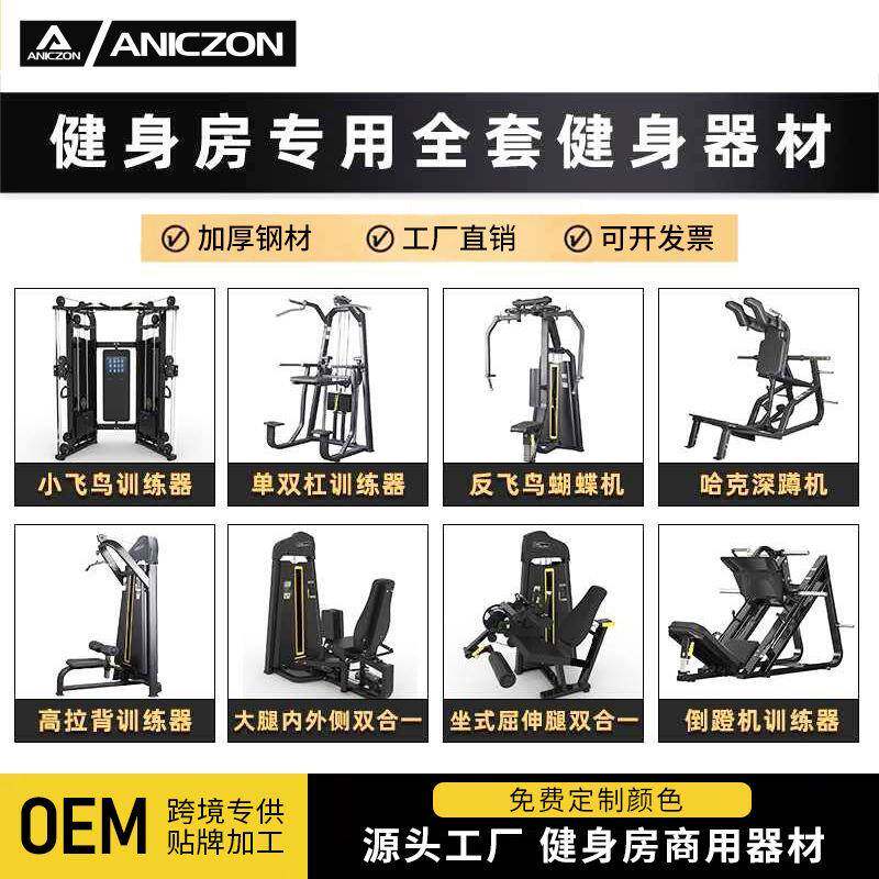 健身房反飞鸟训练器商用推胸举肩训练器腿屈伸后抬腿高低拉背器材