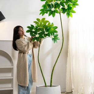 仿真保罗大叶伞绿植假树植物假花树室内客厅店铺橱窗装饰落地摆件